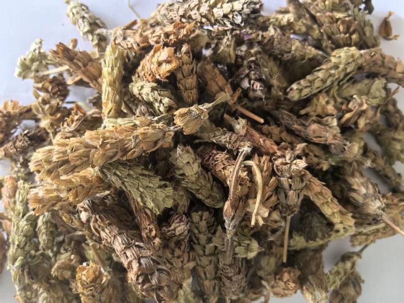 夏枯球别名夏枯草夏归球可搭配多品种采购大货
