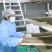 【包邮】贵州荔波红薯粉条厂家直供***欢迎下单品尝