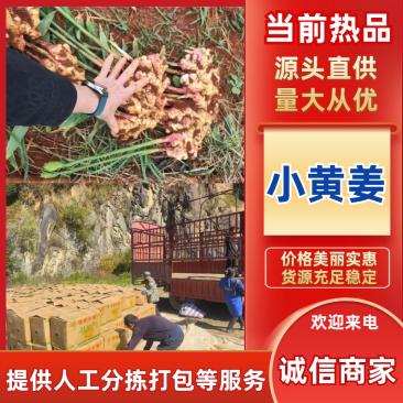25年嫩姜开始大量上市红黄土，棕色土，电商货市都有。