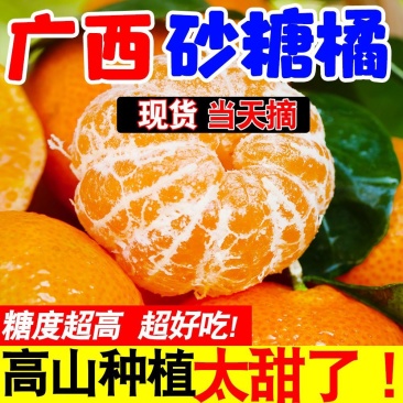 金秋砂糖橘精品货实力供应链支持一件代发
