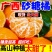 金秋砂糖橘精品货实力供应链支持一件代发