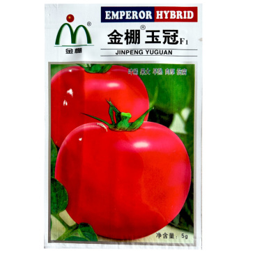 金棚玉冠番茄种子大果早熟肉厚抗病春秋大棚露地种