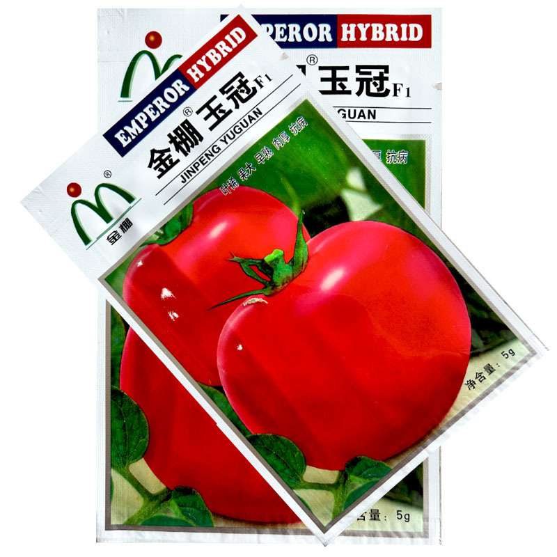 金棚玉冠番茄种子大果早熟肉厚抗病春秋大棚露地种