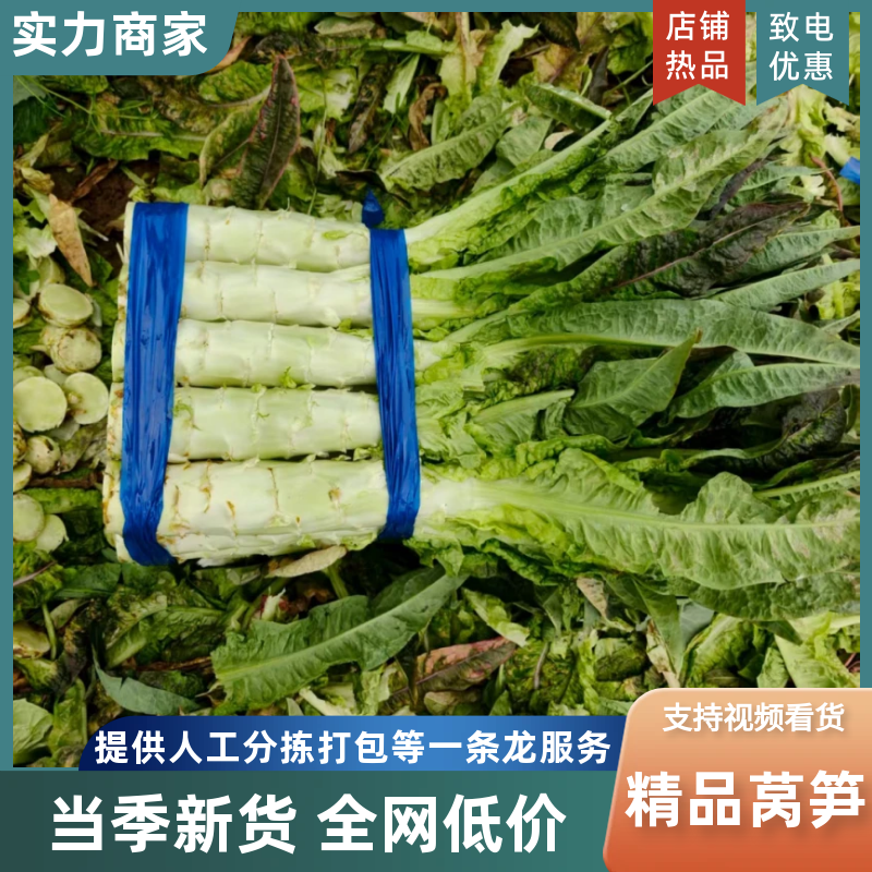 尖叶莴笋产地直发青皮青肉按需包装供应食堂电商市场