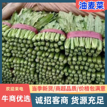 精品油麦大量供应中，品质保证，量大从优，欢迎订购