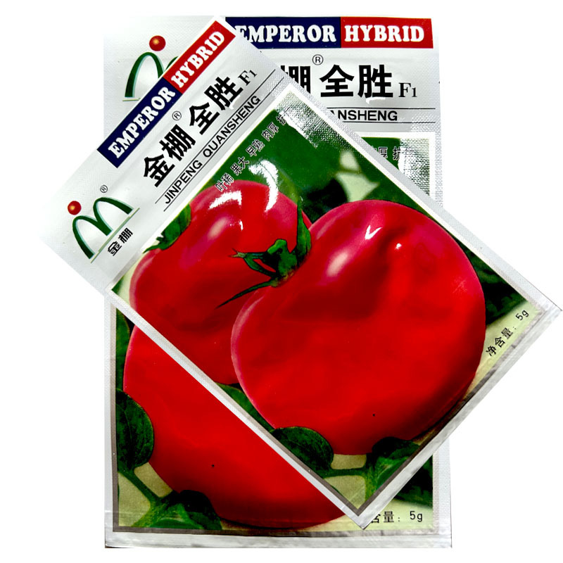 金棚全胜粉果番茄种子果大早熟肉厚抗病强大小均匀
