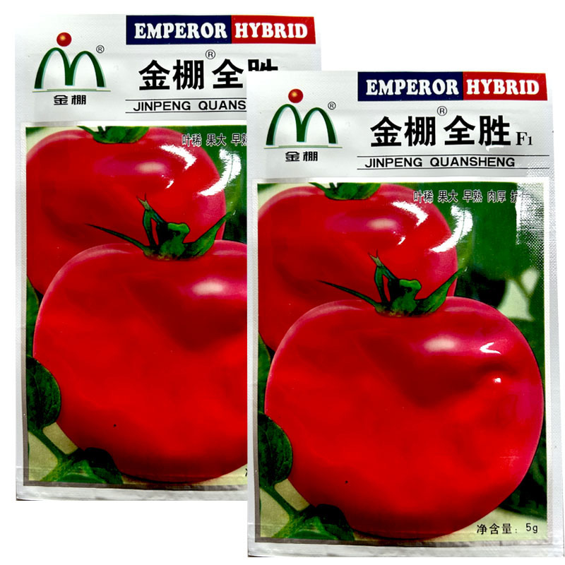 金棚全胜粉果番茄种子果大早熟肉厚抗病强大小均匀
