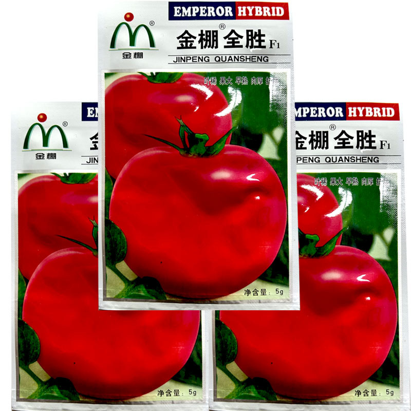 金棚全胜粉果番茄种子果大早熟肉厚抗病强大小均匀