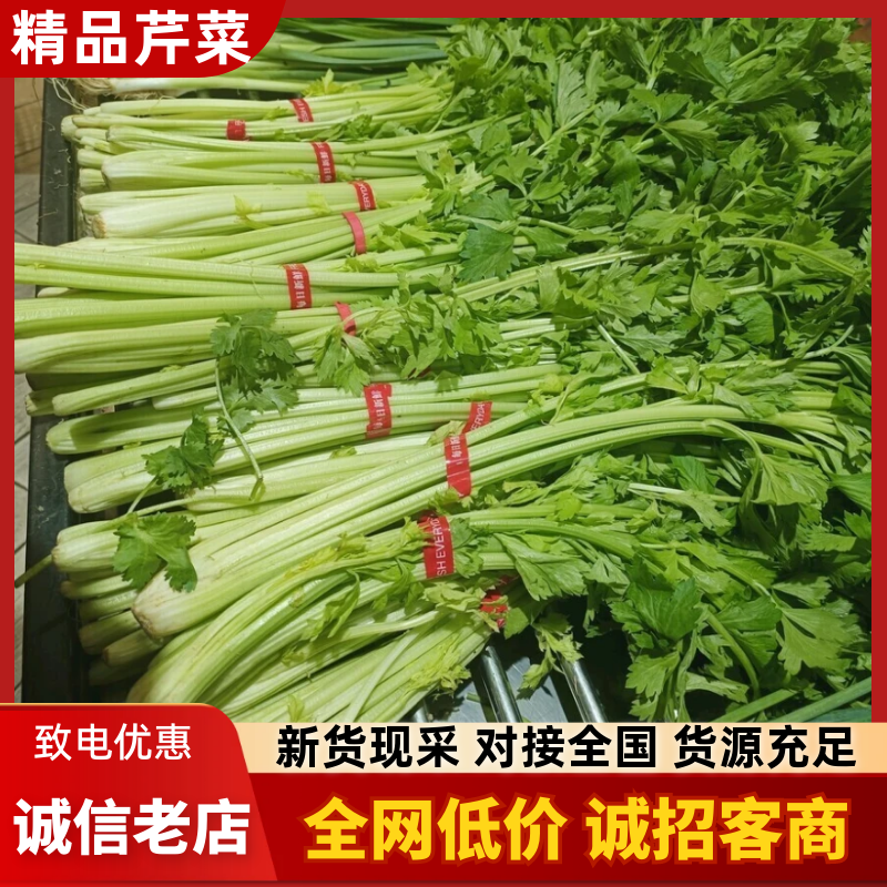 安徽芹菜，精品芹菜大量新鲜现货速发，保质保量欢迎选购