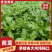 精品茼蒿，20斤装，现货速发保质保量欢迎老板选购
