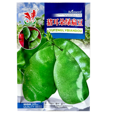 猪耳朵绿扁豆种子早熟100g蔓生绿眉豆种籽早熟紫花宽扁豆