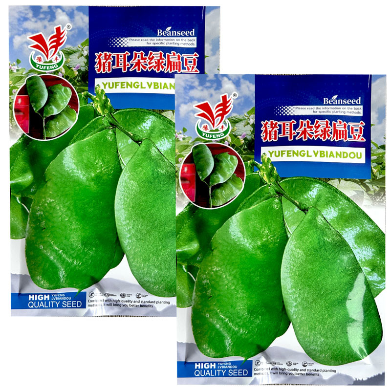 猪耳朵绿扁豆种子早熟100g蔓生绿眉豆种籽早熟紫花宽扁豆