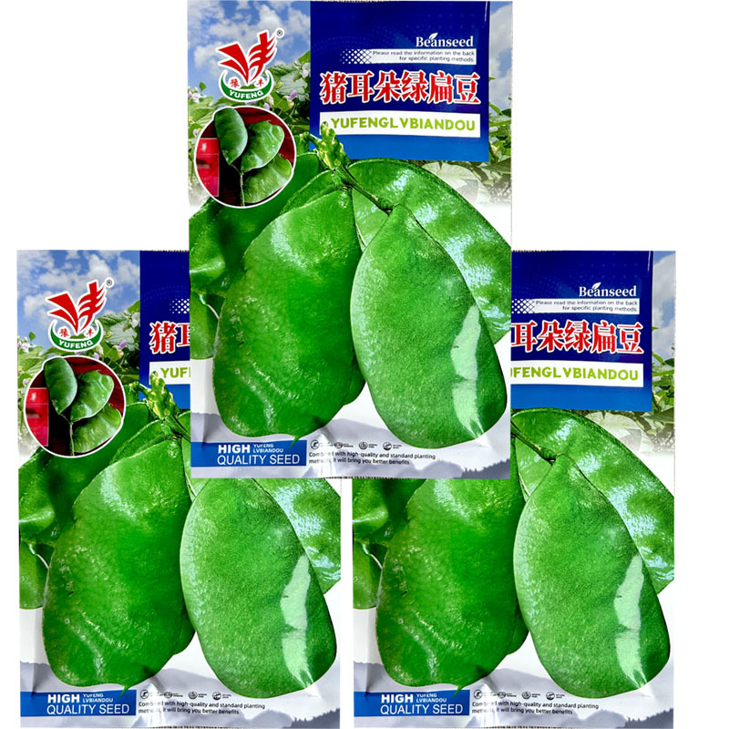 猪耳朵绿扁豆种子早熟100g蔓生绿眉豆种籽早熟紫花宽扁豆