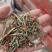 精品辣子杆无土无地膜干净辣椒秧辣椒秸秆适宜牛羊养殖