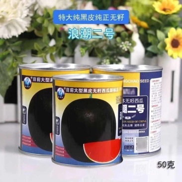 浪潮二号三倍体无籽西瓜种子特大果黑皮红瓤西瓜种子