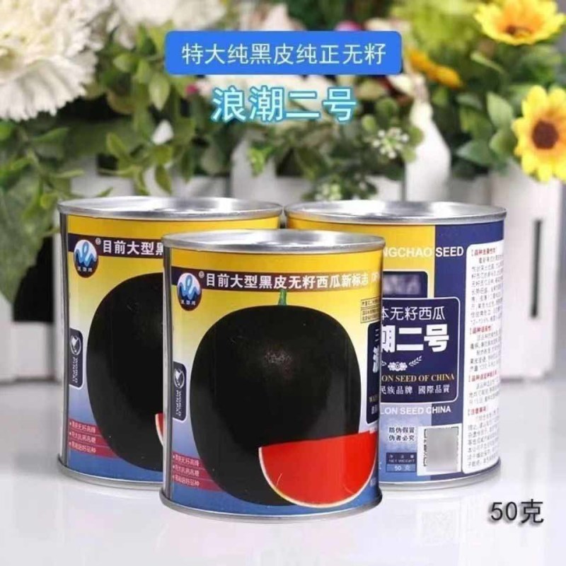 浪潮二号三倍体无籽西瓜种子特大果黑皮红瓤西瓜种子