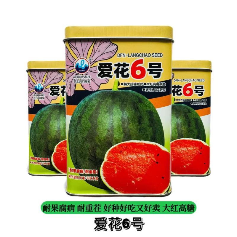 爱花6号大红瓤西瓜种子大果高糖黑皮西瓜种子暗花皮耐重茬