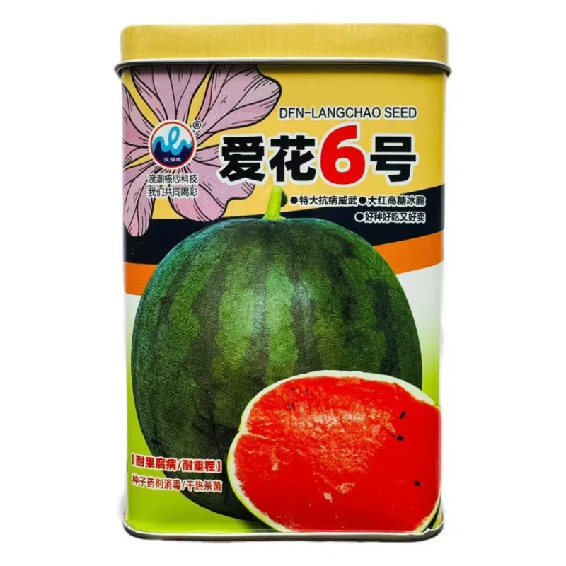 爱花6号大红瓤西瓜种子大果高糖黑皮西瓜种子暗花皮耐重茬
