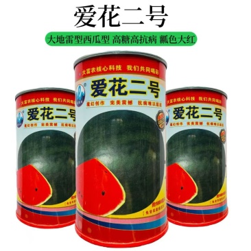 爱花二号大地雷西瓜种子黑皮红瓤高甜型西瓜种籽抗裂耐贮运
