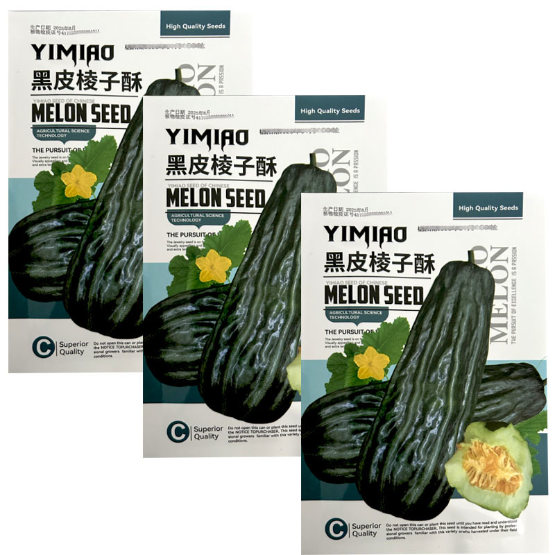 黑皮棱子酥种子酥瓜脆瓜超大菜瓜籽生吃腌菜凉拌露天