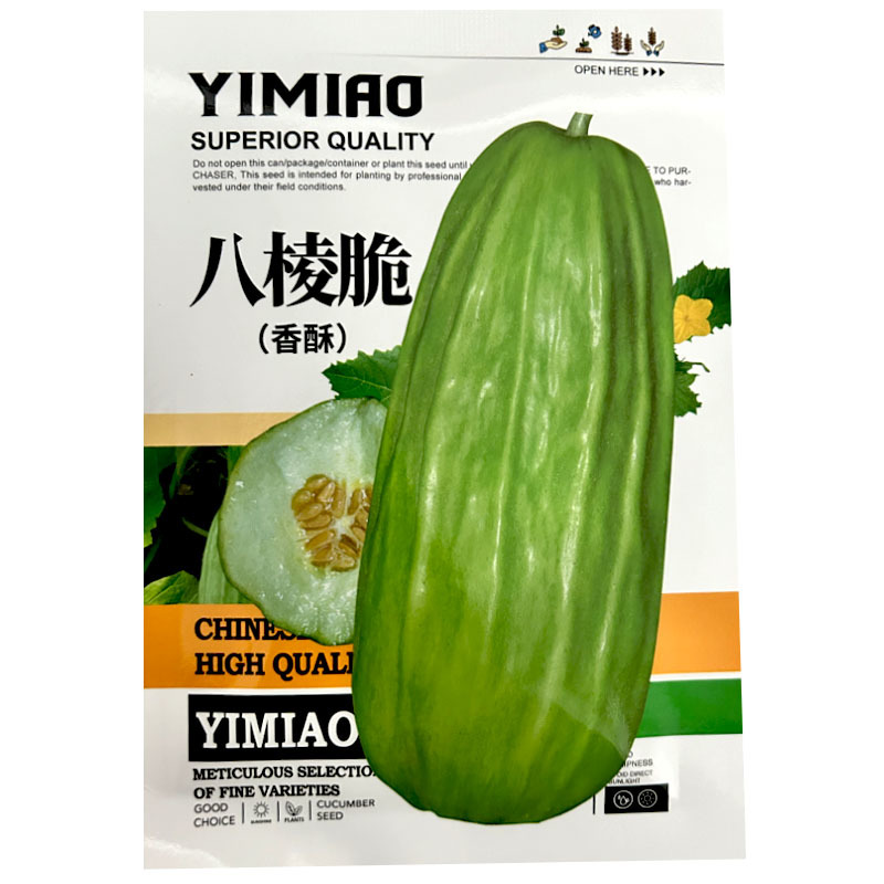 八棱脆瓜种子香脆菜瓜烧瓜种子生吃无糖生吃腌菜凉拌露