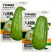 八棱脆瓜种子香脆菜瓜烧瓜种子生吃无糖生吃腌菜凉拌露