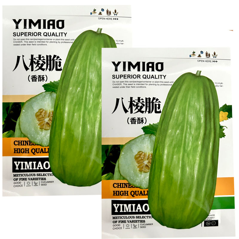 八棱脆瓜种子香脆菜瓜烧瓜种子生吃无糖生吃腌菜凉拌露