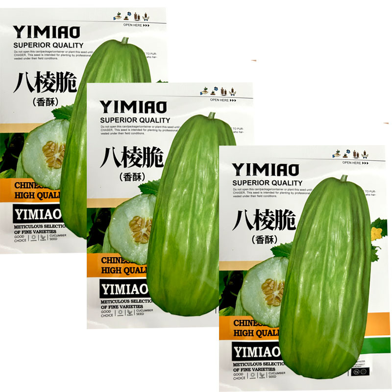 八棱脆瓜种子香脆菜瓜烧瓜种子生吃无糖生吃腌菜凉拌露