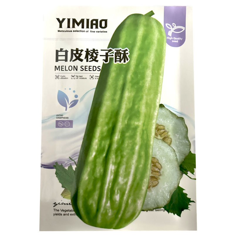 白皮棱子酥菜瓜种子生吃腌菜凉拌露天大棚水果种子