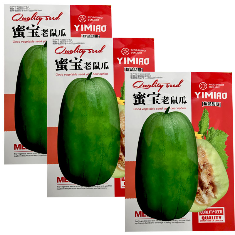 蜜宝甜瓜种子老鼠瓜超甜薄皮香脆多汁甜掉牙水果种子