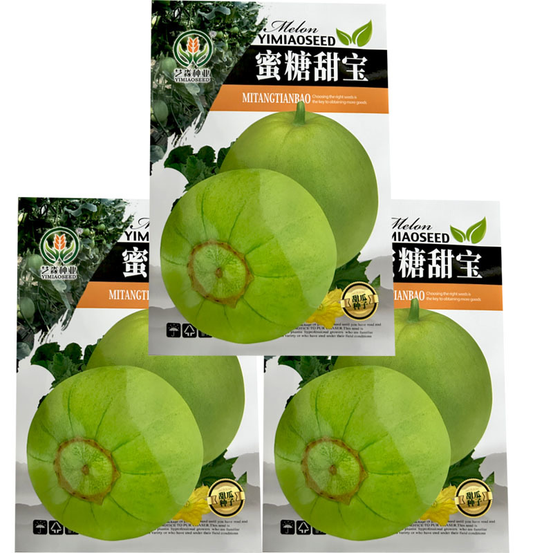 蜜糖甜宝甜瓜种子薄皮香瓜籽耐热耐湿春夏露地种植