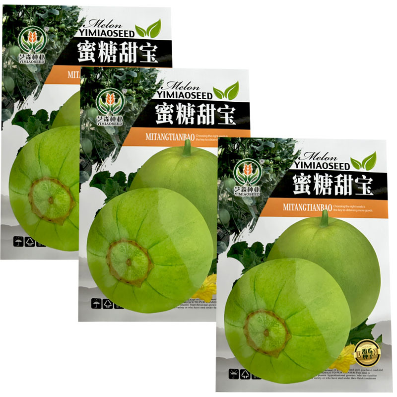 蜜糖甜宝甜瓜种子薄皮香瓜籽耐热耐湿春夏露地种植