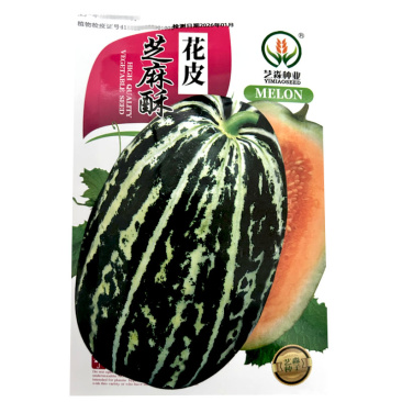 花皮芝麻酥甜瓜种子蟆酥薄皮超甜甜瓜种籽早熟花皮黄