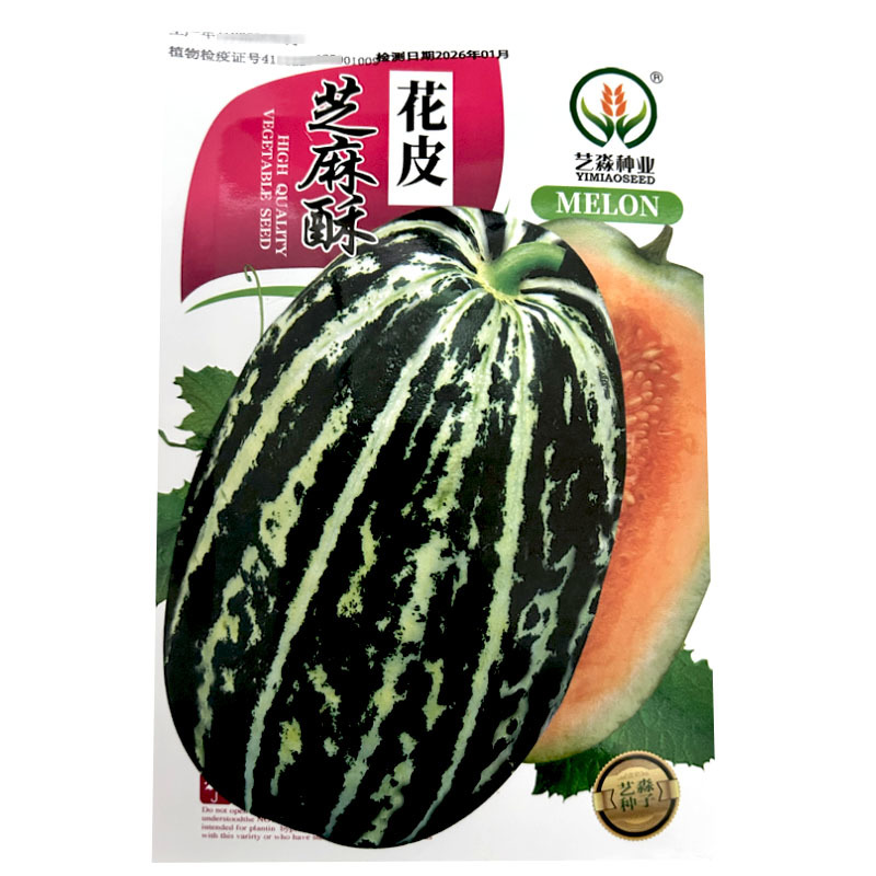 花皮芝麻酥甜瓜种子蟆酥薄皮超甜甜瓜种籽早熟花皮黄