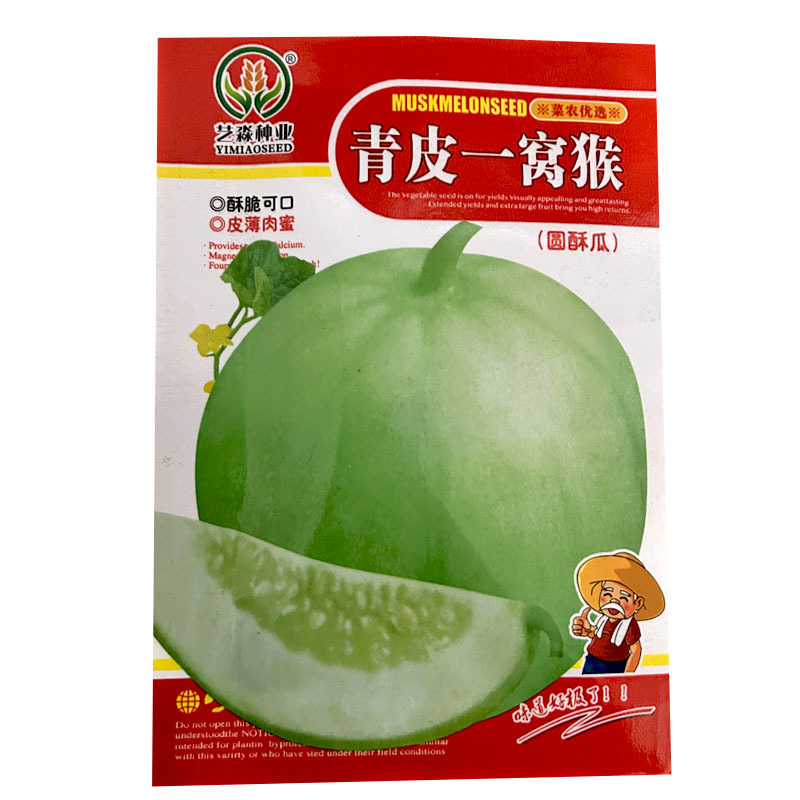 青皮一窝猴圆酥瓜种子水果甜瓜种子早熟结果多