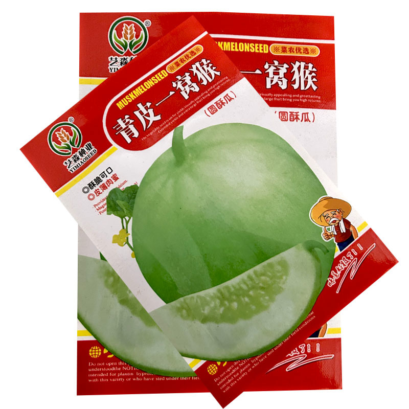 青皮一窝猴圆酥瓜种子水果甜瓜种子早熟结果多