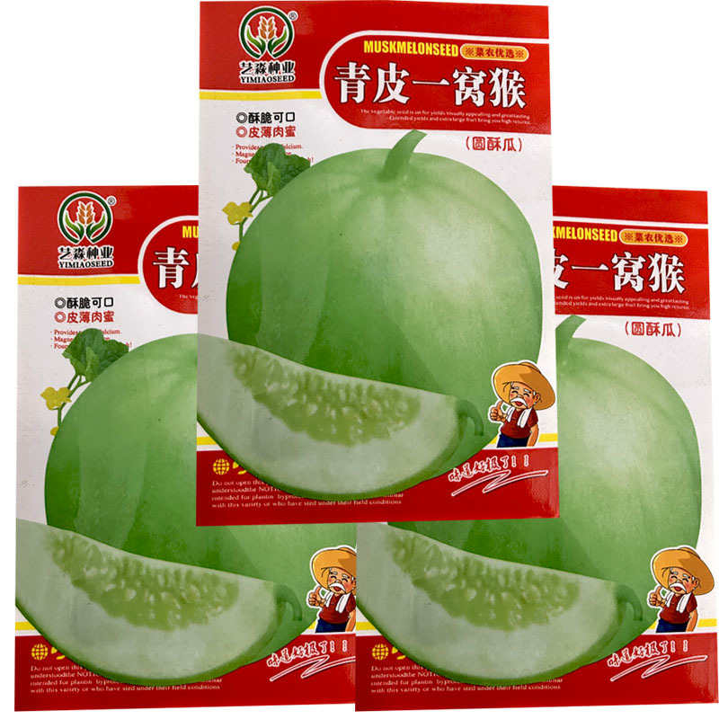 青皮一窝猴圆酥瓜种子水果甜瓜种子早熟结果多