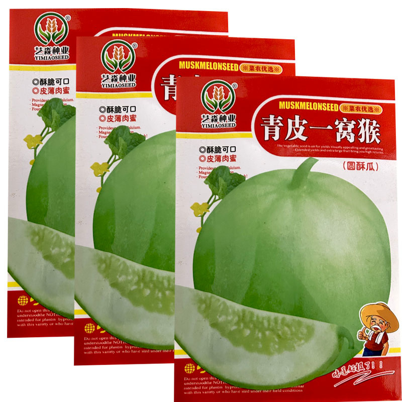 青皮一窝猴圆酥瓜种子水果甜瓜种子早熟结果多