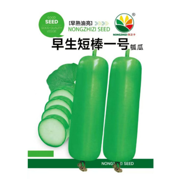 早生短棒一号短棒瓠瓜种子早熟油亮耐热耐寒基地型