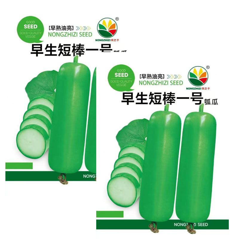 早生短棒一号短棒瓠瓜种子早熟油亮耐热耐寒基地型
