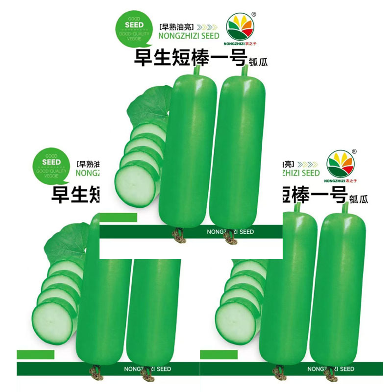 早生短棒一号短棒瓠瓜种子早熟油亮耐热耐寒基地型