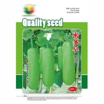 瓠瓜种子蜜多早早熟耐热耐低温抗病高产挂果多