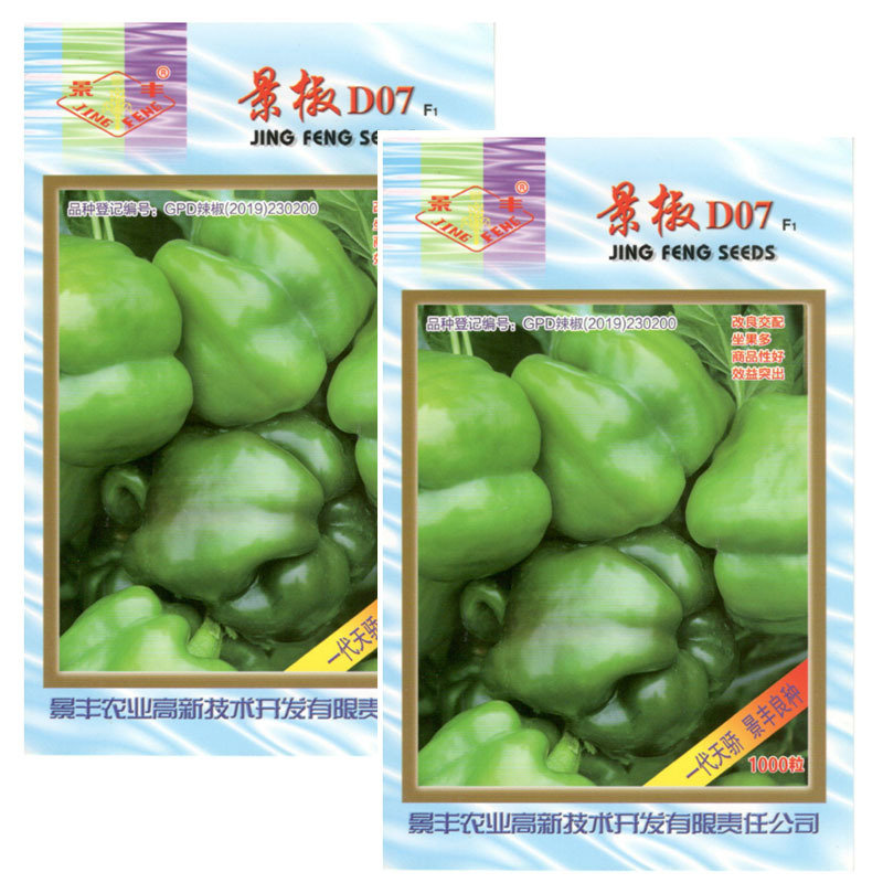 景椒D07甜椒种子坐果多商品性好大果型基地品种