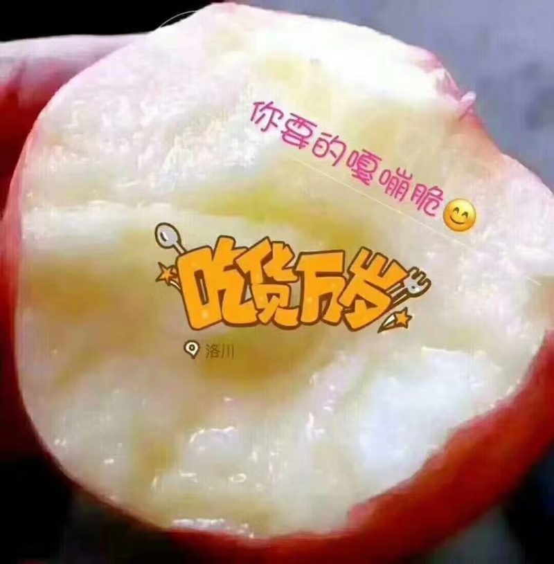 陕西洛川红富士苹果，口感好！耐存放，高品质货源，货源充足