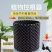 控根器种树围板植树适用排水阻根控根板花盆加高育苗容器
