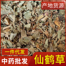 仙鹤草新货仙鹤草颜色好干净无杂质现货供应规格齐全