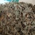 仙鹤草新货仙鹤草颜色好干净无杂质现货供应规格齐全