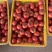贵州精品西红柿、石头番茄🍅产品地一手货源、大量供应全国