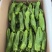 湛江鲜辣椒，芜湖椒、苏椒、薄皮椒、全国供应