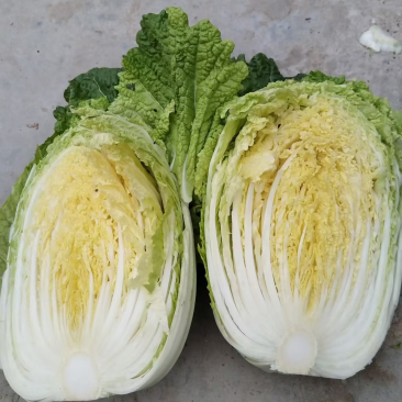 精品黄心大白菜3一6斤，个大均匀，颜色鲜嫩，质量保证
